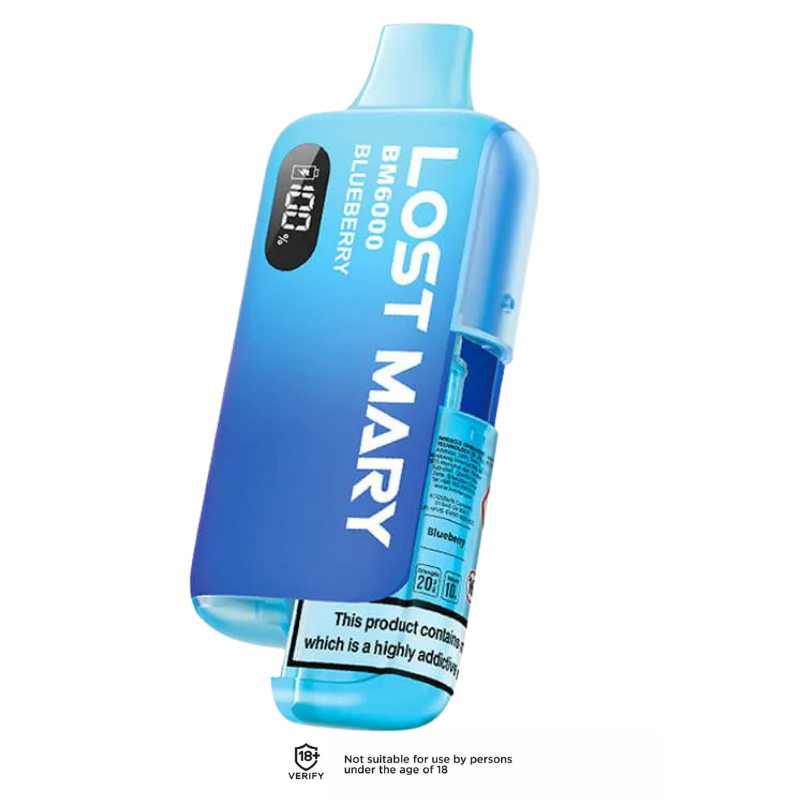 Blueberry Lost Mary BM6000 Refillable Vape Kit