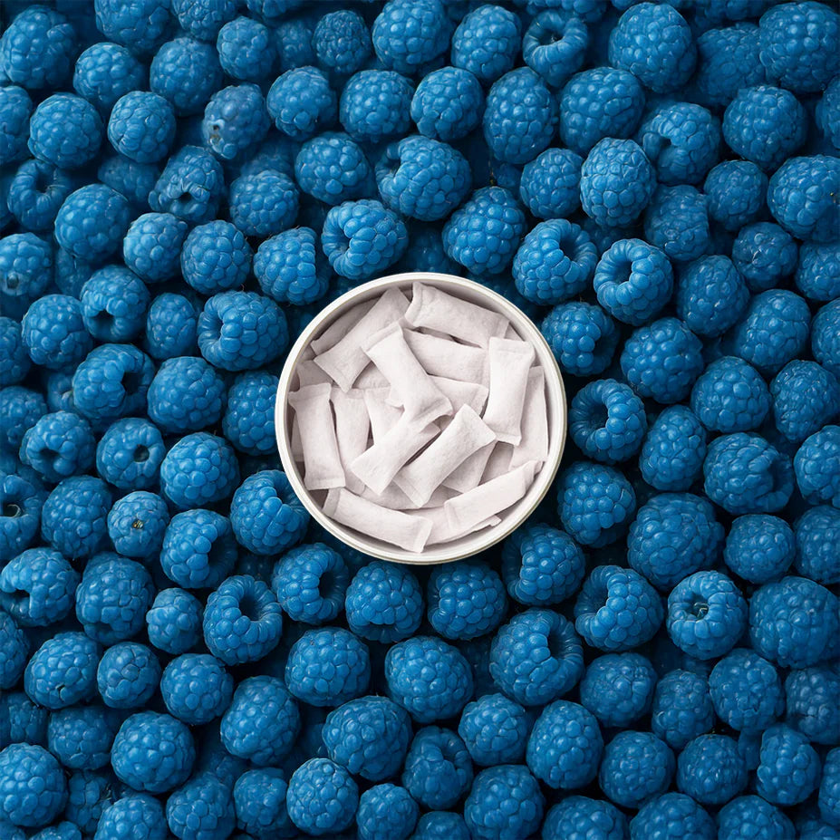 Blue Razz Lemonade Muse Surge Caffiene Energy Pouches | 20 Pouches - 200mg